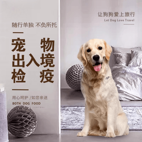 龙岩市宠物托运到哥伦比亚猫狗宠物入境规定和