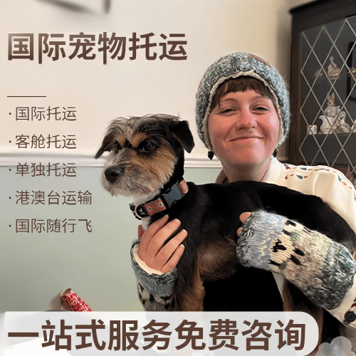 龙岩市国际宠物托运到阿根廷宠物入境规定和要