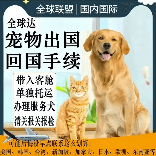 龙岩市宠物托运到柬埔寨宠物入境规定和要求