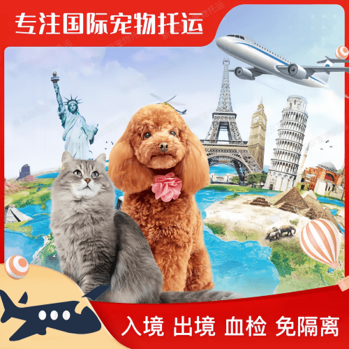 龙岩市宠物托运到美国宠物入境最新规定和要求
